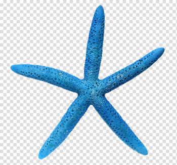 Starfish Christmas ornament Seashell Christmas decoration Santa Claus, HD blue starfish transparent background PNG clipart