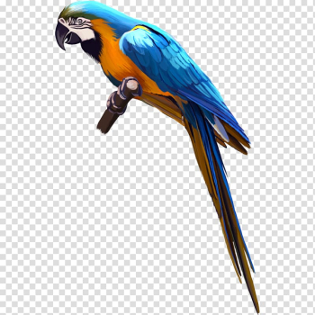 Bird Cockatoo Macaw , Parrot on tree branch transparent background PNG clipart