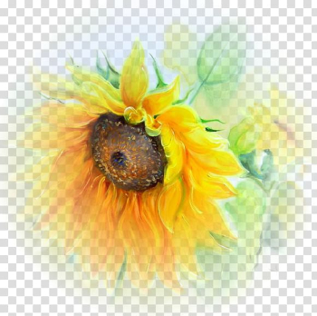 Yellow sunflower painting, Visual arts Watercolor painting Still life, sunflower transparent background PNG clipart