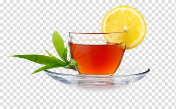 Clear glass teacup on saucer, Green tea Iced tea Sweet tea Black tea, Lemon ginger tea leaves transparent background PNG clipart