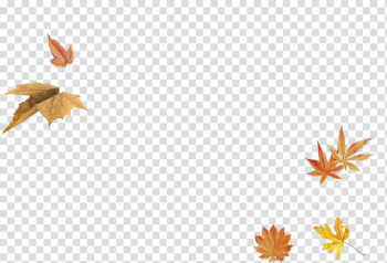 Maple leaf, Maple Leaf transparent background PNG clipart