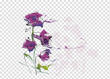 Flower Euclidean Adobe Illustrator Ipomoea nil, Watercolor roses transparent background PNG clipart