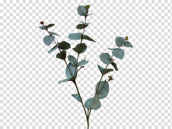Green leafed plant , Plant stem Artificial flower Leaf Tree, eucalyptus transparent background PNG clipart