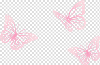Three pink butterflies illustration, Butterfly Euclidean , painted three pink butterfly transparent background PNG clipart