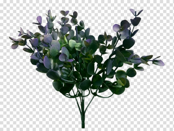 Artificial flower Plant Cut flowers Flower bouquet, eucalyptus transparent background PNG clipart
