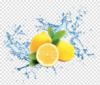 Three ]lemon fruits, Water gel Drop, limon transparent background PNG clipart