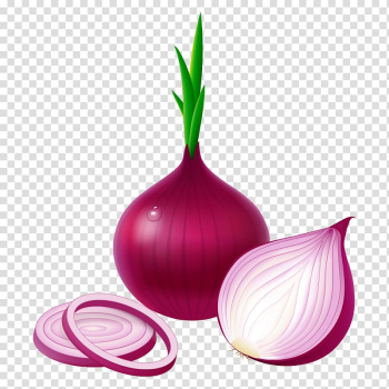 Onion sticker, Potato onion Red onion Vegetable Garlic White onion, Onions transparent background PNG clipart