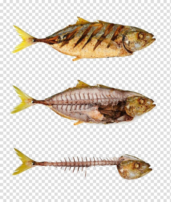 Fried fish Fish bone Fishbone, Fish and meat transparent background PNG clipart