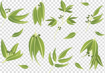 Green leaves , Gum trees Leaf Euclidean , Eucalyptus Leaves Doing Cutout transparent background PNG clipart