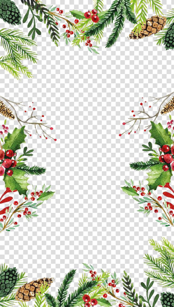 Green plants , Christmas Santa Claus , Hand-painted background plant transparent background PNG clipart