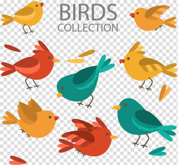 Lovebird Feather Illustration, Seven color cartoon bird transparent background PNG clipart