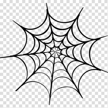 Spider web Drawing , spider web transparent background PNG clipart