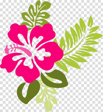 Hawaiian hibiscus Free content , Hibiscus Frame transparent background PNG clipart