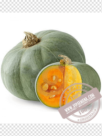 Crookneck pumpkin Cucurbita maxima Cultivar Seed Auglis, tamarind transparent background PNG clipart