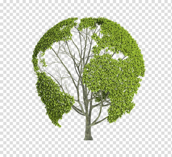Earth World Globe Natural environment, Creative world map tree definition transparent background PNG clipart