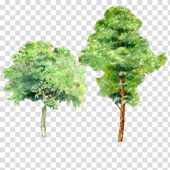 Trees watercolor material transparent background PNG clipart