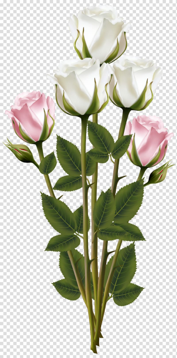 White and pink roses illustration, Flower bouquet Scalable Graphics, White and Pink Rose Bouquet transparent background PNG clipart