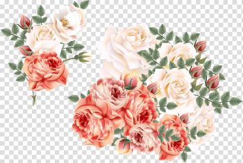 Pink and orange rose flowers illustration, Garden roses Centifolia roses Euclidean Flower, hand-painted flowers transparent background PNG clipart