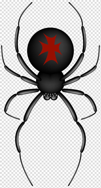 Black and red spider illustration, Spider-Man , Crusader Spider transparent background PNG clipart
