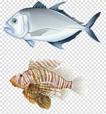 Giant trevally Carangidae Illustration, White fish and flying fish transparent background PNG clipart