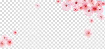 Pink flowers border template, Pink Cherry blossom Flower, pink cherry blossoms frame material transparent background PNG clipart