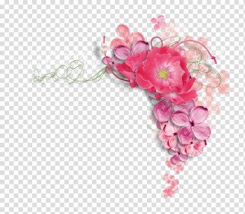 Flower frame , Pink peony transparent background PNG clipart