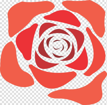 Rose , Rose transparent background PNG clipart