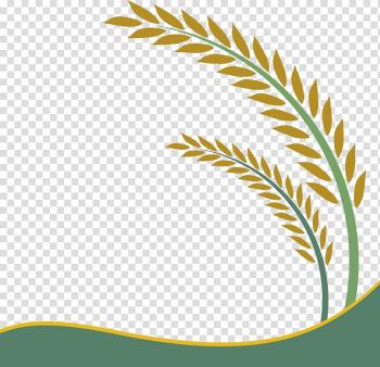 Rice wheats illustration, Paddy Field Oryza sativa Rice Crop , Rice leaf transparent background PNG clipart