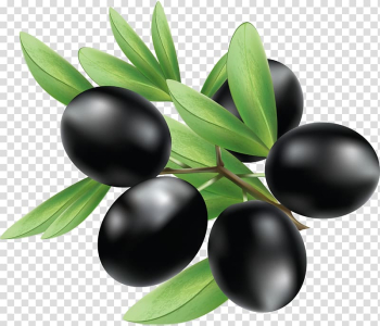 Black fruits, Olive Illustration, Black olives transparent background PNG clipart