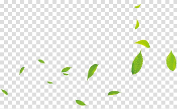 Green leaf , 0 Cartoon, Small green leaves transparent background PNG clipart