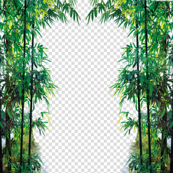 Green leafed plant frame art, Euclidean Icon, Bamboo Fam transparent background PNG clipart
