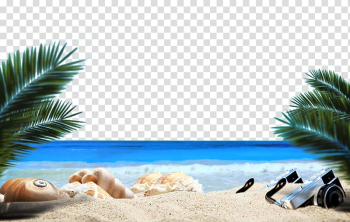 Sea shell and camera on shore, Ocean Beach Sandy Beach Sea, Ocean Beach plant transparent background PNG clipart
