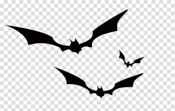 Three black bats illustration, Bat Crows Black and white, bat transparent background PNG clipart