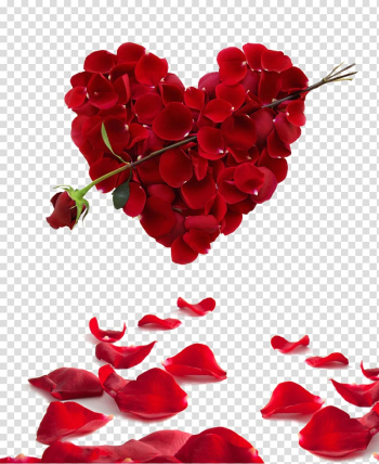 Red flowers , Rose Heart Flower Valentine\'s Day , petal,Heart transparent background PNG clipart