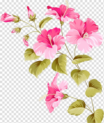 Pink flowers illustration, Flower Hibiscus Euclidean Plant, flowers transparent background PNG clipart