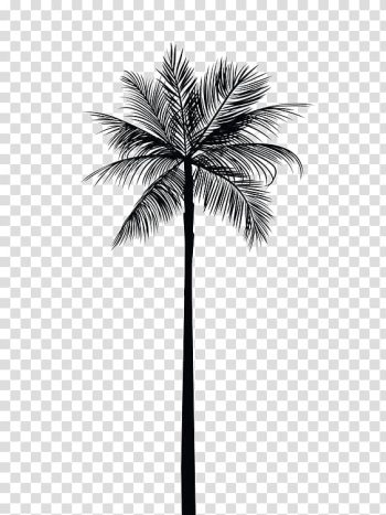 Black palm tree , Arecaceae Tree Gold Palm branch Wall decal, Black coconut tree transparent background PNG clipart