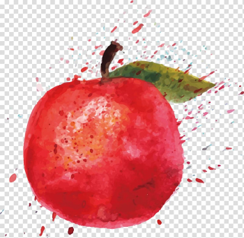 Watercolor painting Apple Cartoon Illustration, apple transparent background PNG clipart