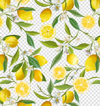 Lemon Flower , Fresh lemon border, sliced lemon illustration transparent background PNG clipart