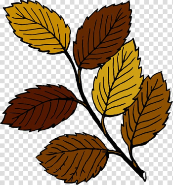 Autumn leaf color , Cartoon Fall Leaf transparent background PNG clipart