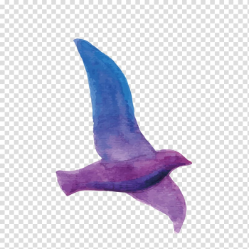 Purple and blue bird illustration, Rock dove Bird Watercolor painting Illustration, Pattern Flying Pigeon transparent background PNG clipart