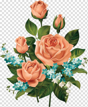 Rose Flower , Hand-painted rose transparent background PNG clipart