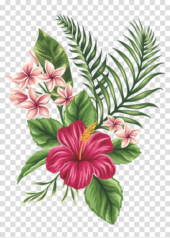 Drawing Flower Sketch, Hand-painted flowers, red hibiscus flower painting transparent background PNG clipart