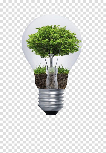 Green leafed tree in bulb, Natural environment Environmental degradation Environmental consulting Sustainability Incandescent light bulb, A light bulb transparent background PNG clipart