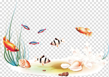 Fishes and shells , Fish , A group of fish swimming transparent background PNG clipart