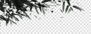 Gray plant leaves illustration, Ink wash painting Graphic design, Chinese ink painting of bamboo transparent background PNG clipart