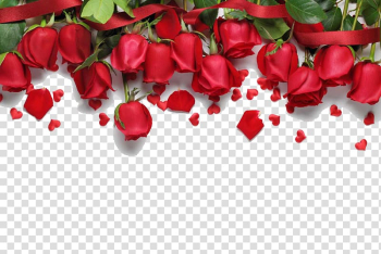Red roses , Love song Romance , Red roses background transparent background PNG clipart