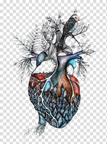 Drawing Southbound Heart Jeremy Poland Anatomy, Creative heart transparent background PNG clipart