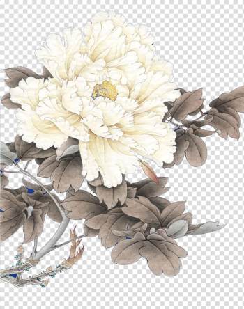 Solar term Mangzhong Jingzhe Lichun, White peony background material transparent background PNG clipart
