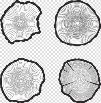 Four white wood slabs, Tree Trunk Aastarxf5ngad , Black and white tree rings transparent background PNG clipart