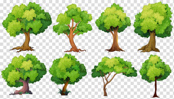 Green leafed trees illustrations, Tree planting Illustration, tree transparent background PNG clipart
